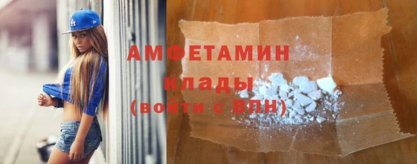 СК Алексин