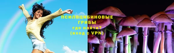 стаф Алексеевка