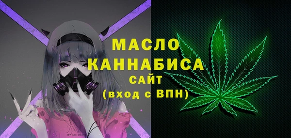 СК Алексин