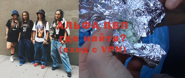 СК Алексин