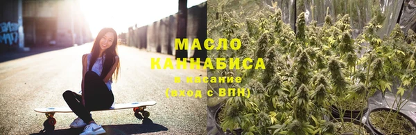 СК Алексин
