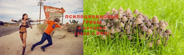 стаф Алексеевка