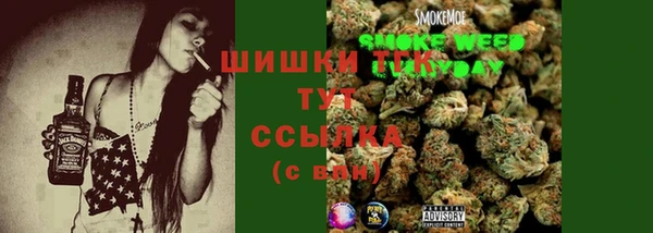 СК Алексин